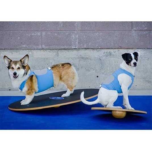 FitPaws Wobble board 