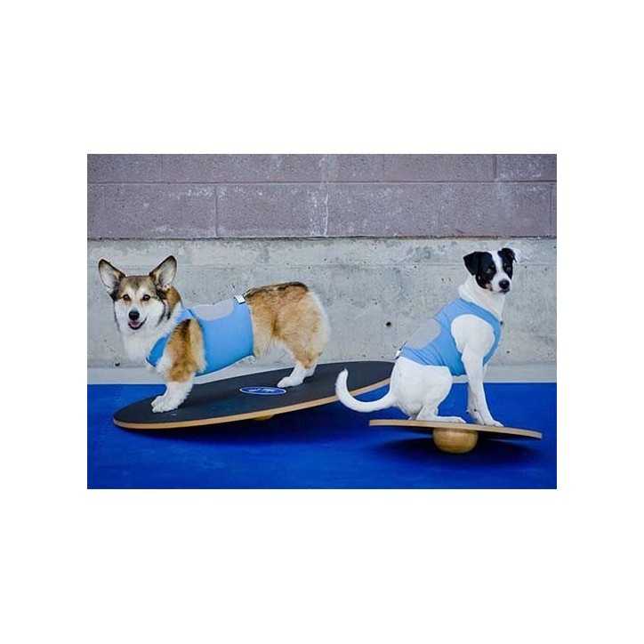 FitPaws Wobble board