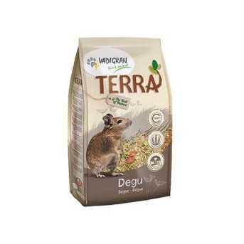 Alimentation Degue Terra 2,25Kg