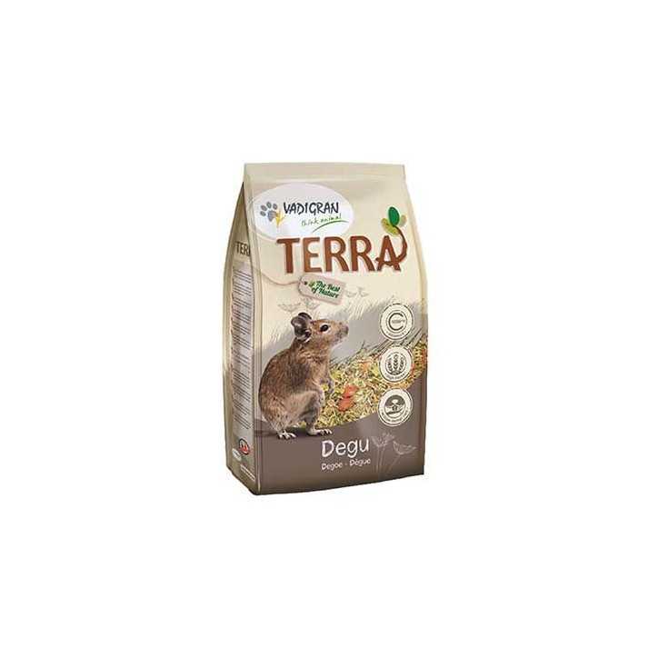 Alimentation Degue Terra 2,25Kg