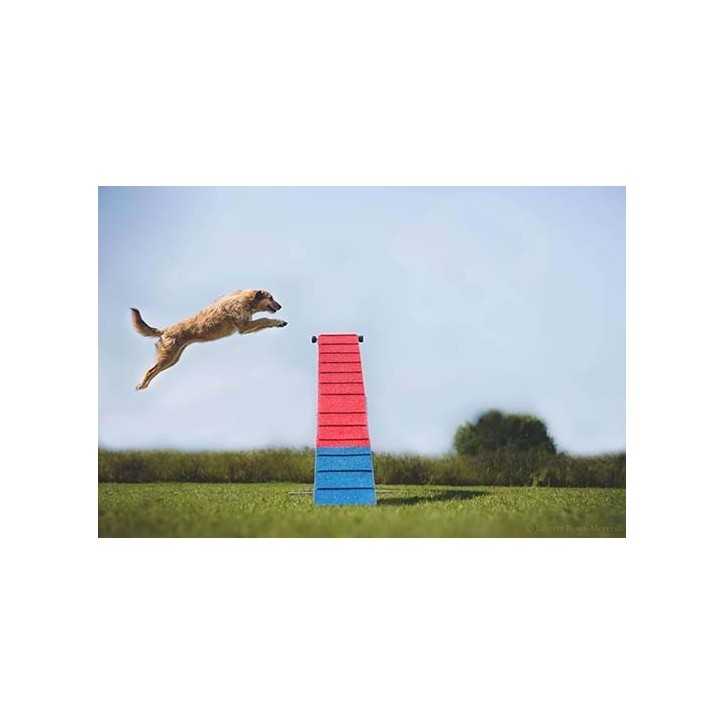 Agility Run Passerelle