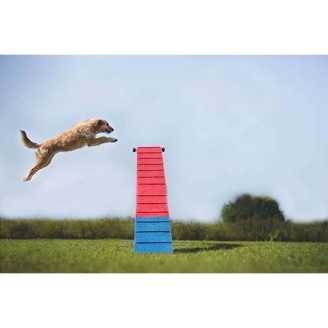 Agility Run Passerelle