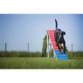 Agility Run Passerelle