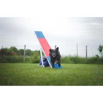 Agility Run Balancoire