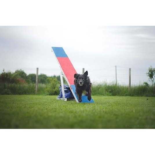 Agility Run Balanoire