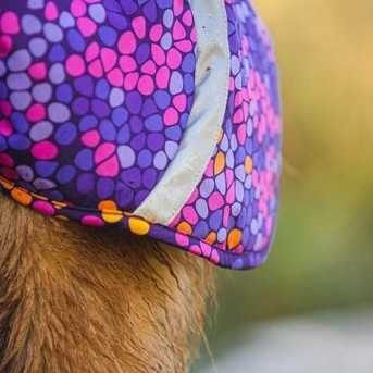 Pomppa Toppa manteau impermeable doublé pour chien