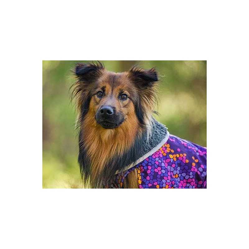 Pomppa Toppa manteau impermeable double pour chien