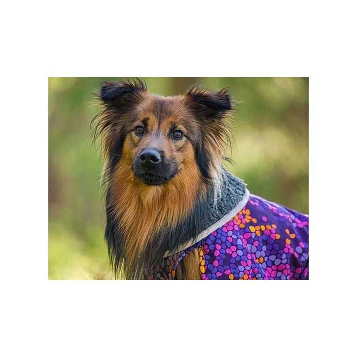 Pomppa Toppa manteau impermeable double pour chien