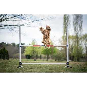 Agility Run Haie d'entrainement en PVC