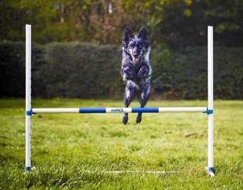 Agility Run Haie d'entrainement en PVC