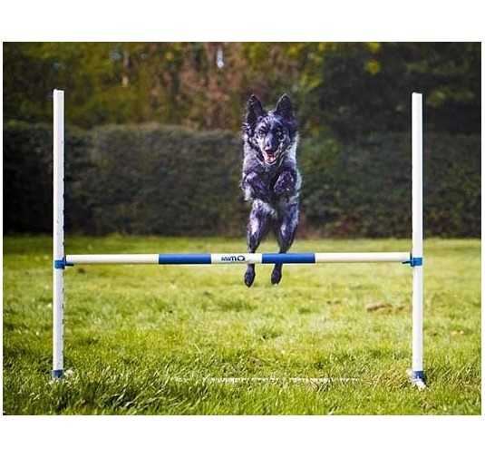 Agility Run Haie d'entrainement en PVC