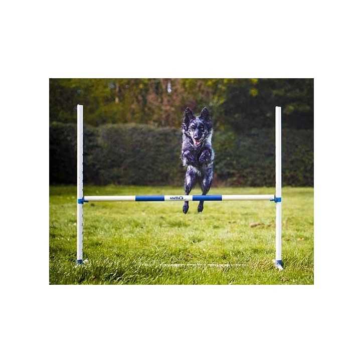 Agility Run Haie d'entrainement en PVC