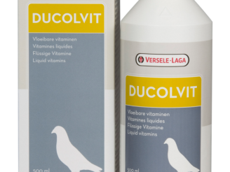 VERSELE LAGA Complexe multi vitamine Ducolvit 500 ml