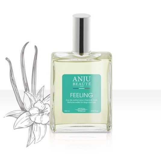 Anju Beaute Eau de parfum Feeling