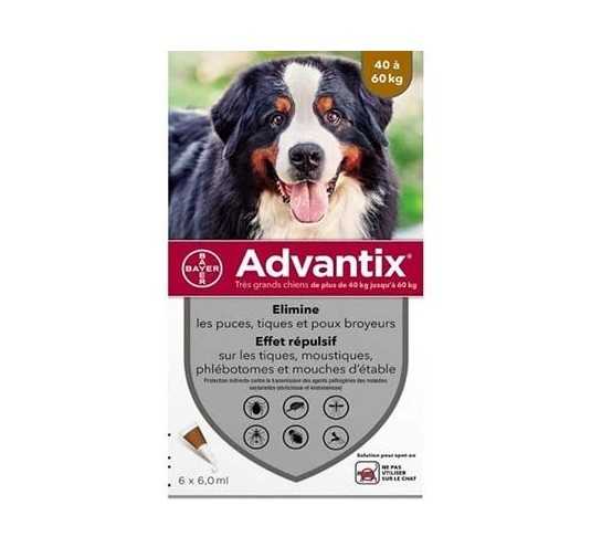 Advantix pipettes anti-puces et anti-tiques