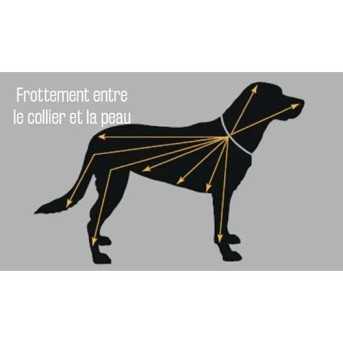 Scalibor Collier anti tiques grand chien