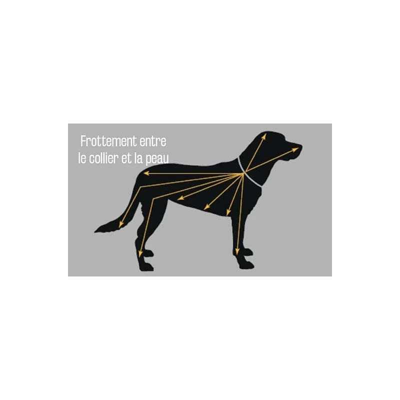 Scalibor Collier anti tiques grand chien 