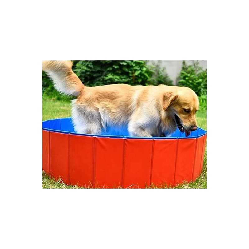 Piscine en PVC pour chien