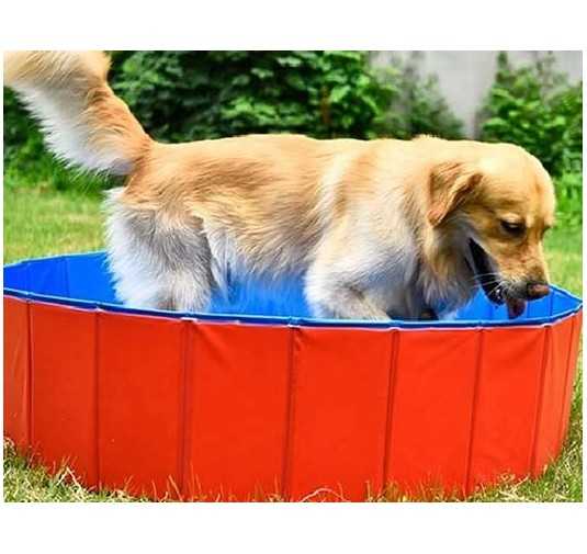 Piscine en PVC pour chien