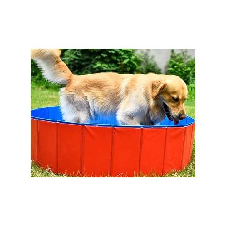 Piscine en PVC pour chien