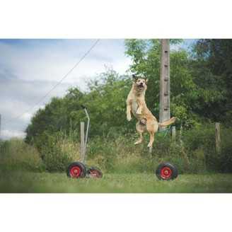 Agility Run Palissade + Bouge-Toit