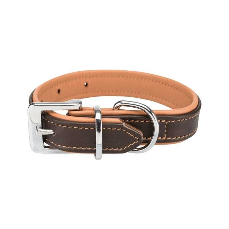 Active collier pour chien Comfort en cuir