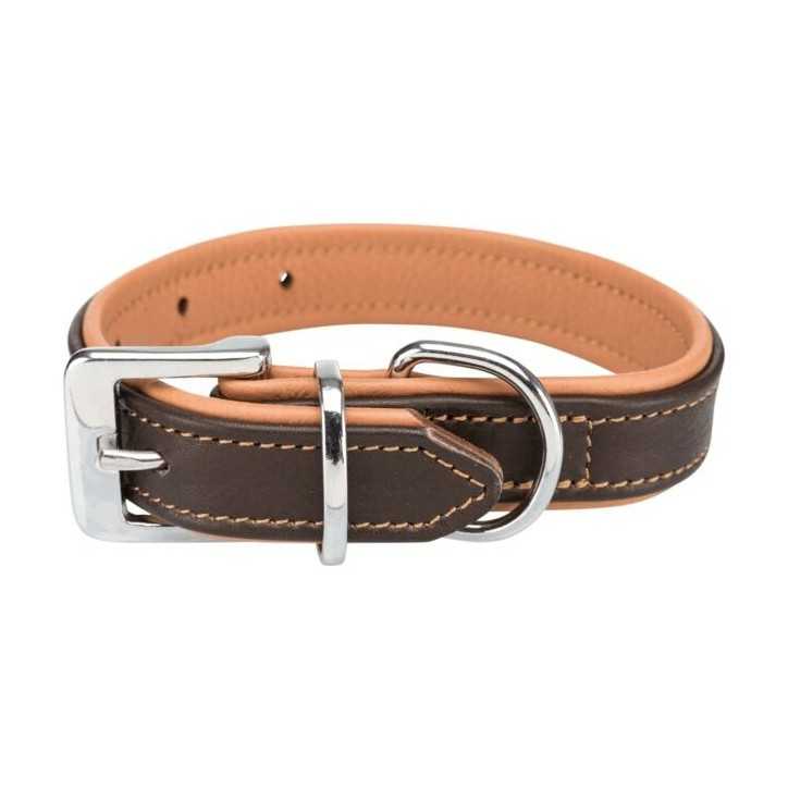 Active collier pour chien Comfort en cuir