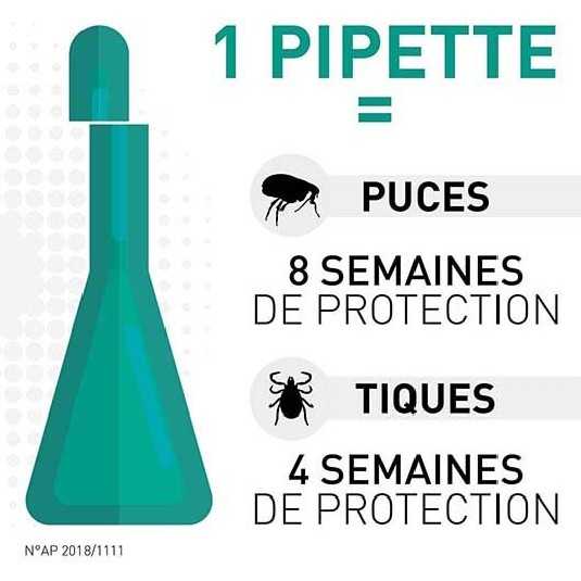 Frontline SpotOn Pipettes antiparasitaires pour chiens