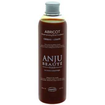 Anju Beaute shampooing eclat couleur abricot