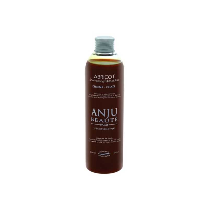 Anju Beaute shampooing eclat couleur abricot