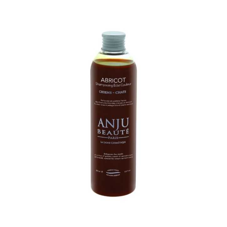 Anju Beaute shampooing eclat couleur abricot