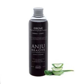 Anju Beaute shampooing eclat couleur ebene