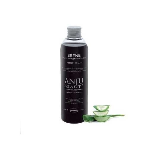 Anju Beaute shampooing eclat couleur ebene