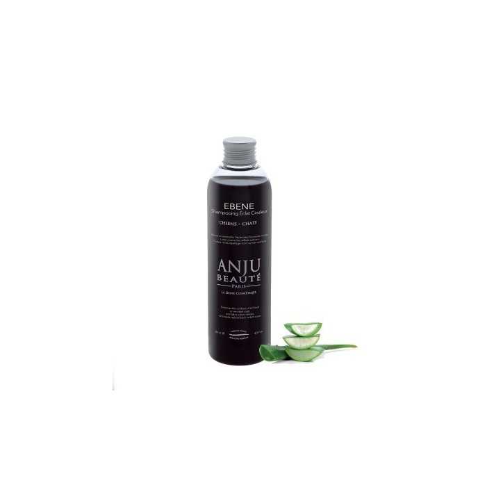 Anju Beaute shampooing eclat couleur ebene