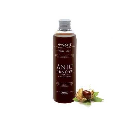 Anju Beaute shampooing Havane