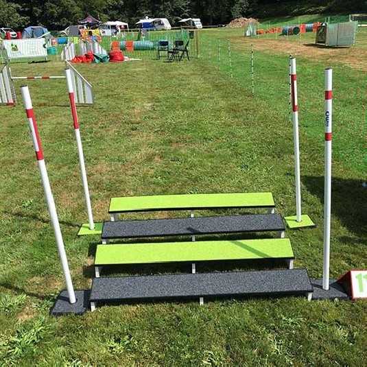 Elite Saut en longueur en tartan pour agility