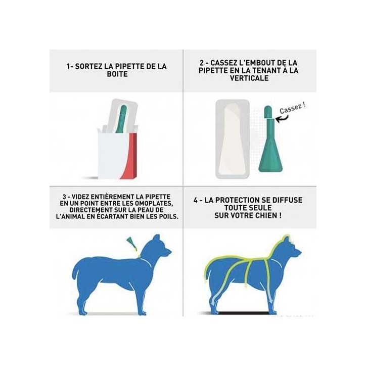 Frontline Combo - Pipettes 2en1 antiparasitaires pour chiens