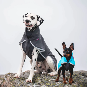 SporttiPomppa Waterproof Dog Coat - Lightweight and High Performance