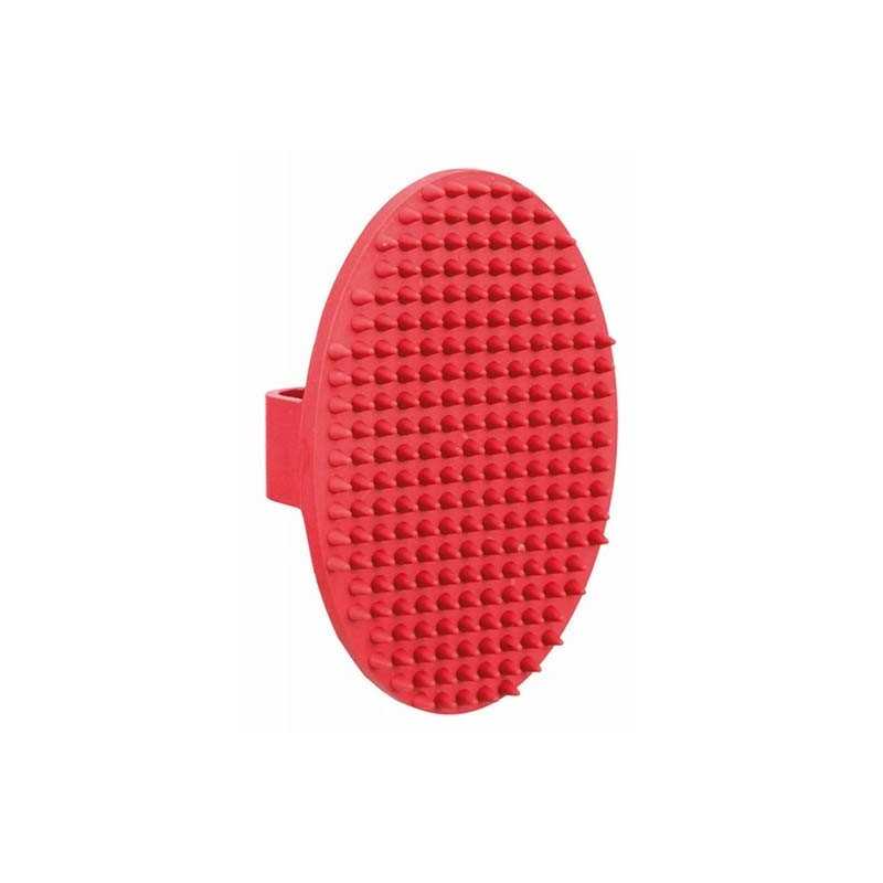 Brosse de massage premium 