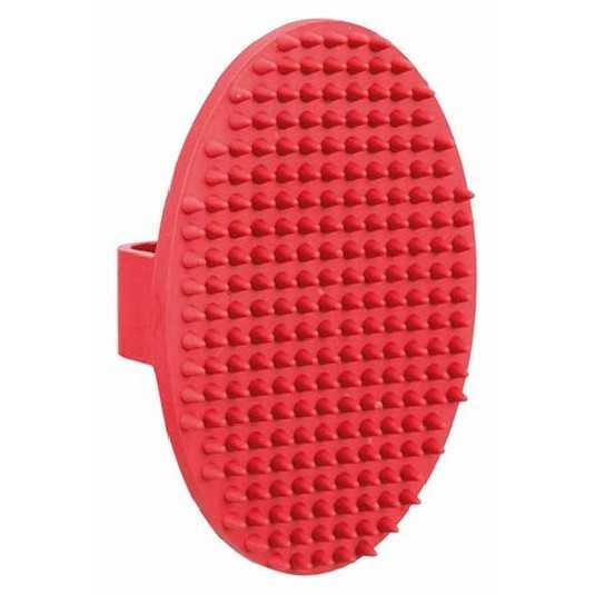 Brosse de massage premium 