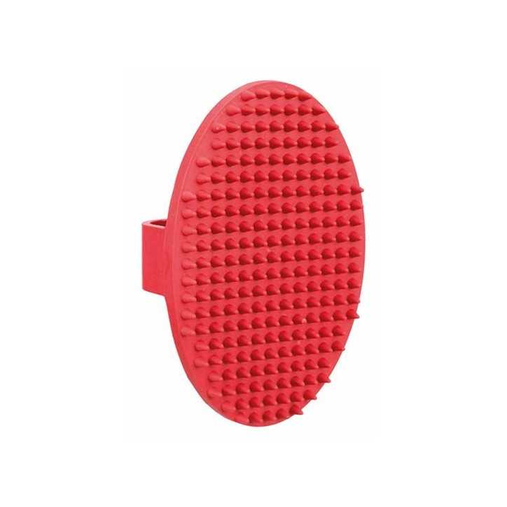 Brosse de massage premium