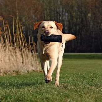 Dummy de dressage 