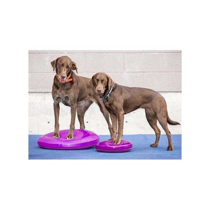 FitPaws Balance disc