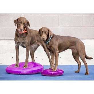 FitPaws Balance disc  