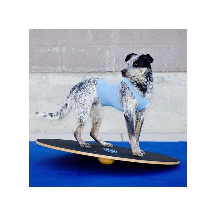 FitPaws Wobble board