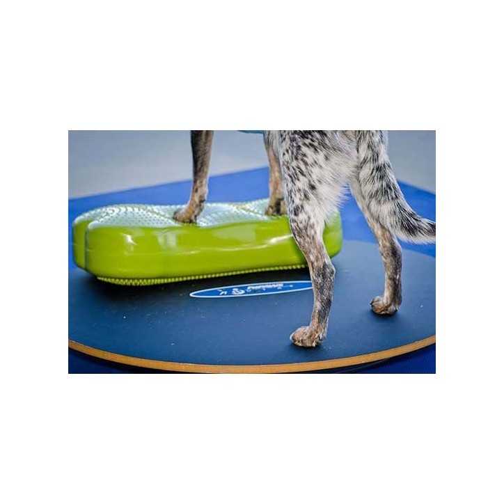 FitPaws Wobble board