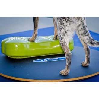 FitPaws Wobble board 