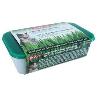 Herbe a chat depurative naturelle 250g