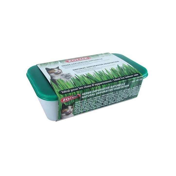 Herbe a chat depurative naturelle 250g