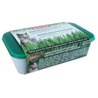 Herbe a chat depurative naturelle 250g 